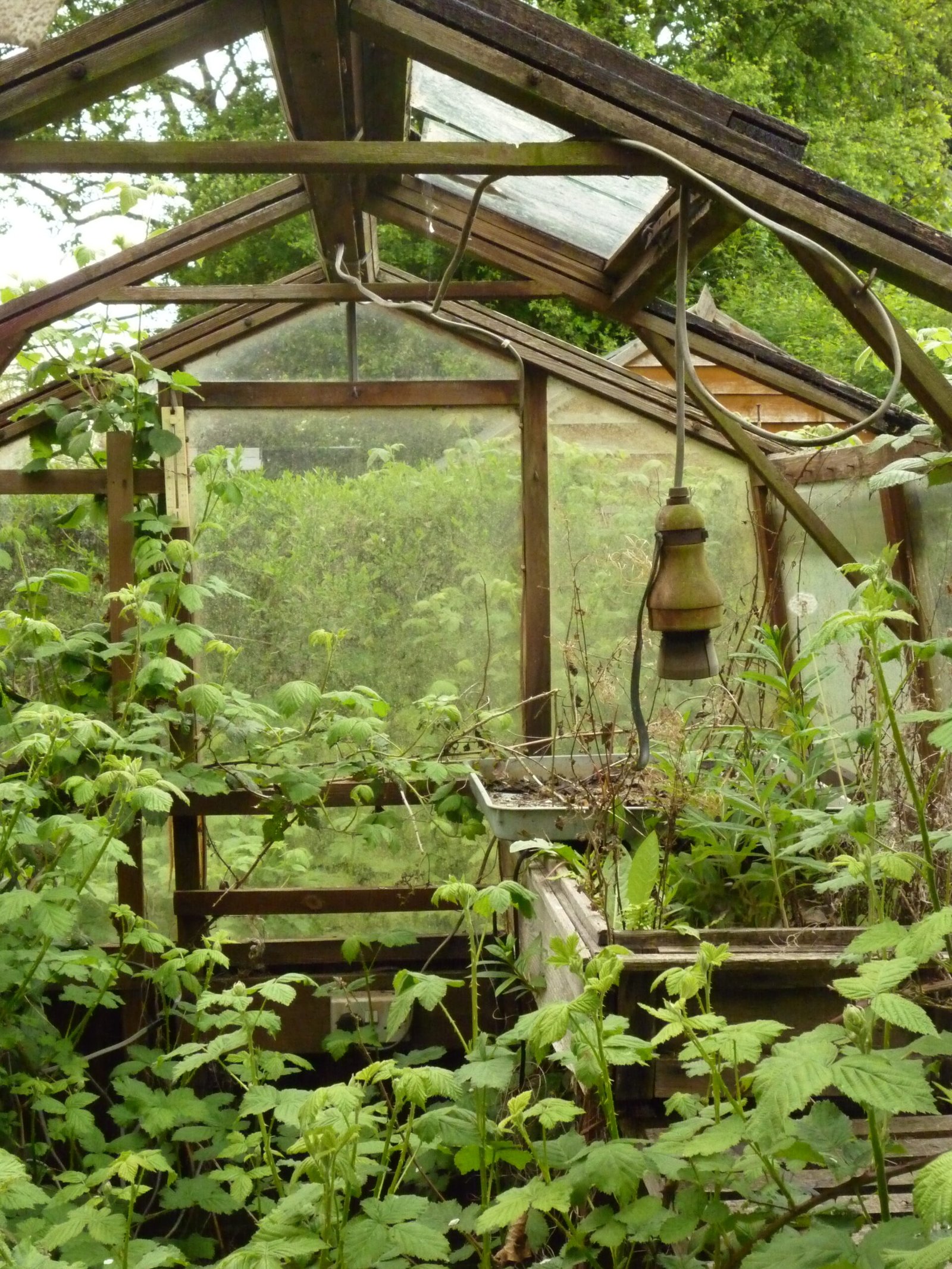 How to Secure Your Greenhouse: Locks and Tips